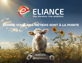 <strong>ELIANCE</strong><br />L’IA générative au service du recrutement